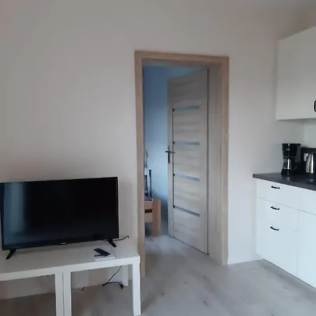 Apartament Przy Potoku Zubrzyca Gorna Exterior photo